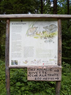 Segnaletica nel bosco di Progrès (30075 bytes)